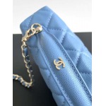 2025年7月17日入荷新作シャネル バッグ最高級品AP4407  YKK  18K金牛皮  Size:：19.5x17x5cm恋人プレゼント/誕生日/母の日/母のひプレゼント/お祝い女性結婚祝い/KK工場