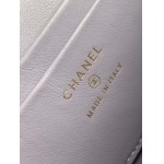 2025年7月17日入荷新作シャネル バッグ最高級品AP4407  YKK  18K金牛皮  Size:：19.5x17x5cm恋人プレゼント/誕生日/母の日/母のひプレゼント/お祝い女性結婚祝い/KK工場