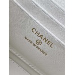 2025年7月17日入荷新作シャネル バッグ最高級品AP4325 Size:9.5-17-8恋人プレゼント/誕生日/母の日/母のひプレゼント/お祝い女性結婚祝い/KK工場