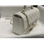 2025年7月17日入荷新作シャネル バッグ最高級品CHANEL AS2431#： Size：20X14X7CM恋人プレゼント/誕生日/母の日/母のひプレゼント/お祝い女性結婚祝い/KK工場
