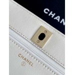 2025年7月17日入荷新作シャネル バッグ最高級品AP4323  Size12-19-3.5恋人プレゼント/誕生日/母の日/母のひプレゼント/お祝い女性結婚祝い/KK工場