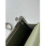 2025年7月17日入荷新作シャネル バッグ最高級品Chanel Size:19cmX12cmX3cm恋人プレゼント/誕生日/母の日/母のひプレゼント/お祝い女性結婚祝い/KK工場