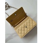 2025年7月17日入荷新作シャネル バッグ最高級品Chanel Size:19cmX12cmX3cm恋人プレゼント/誕生日/母の日/母のひプレゼント/お祝い女性結婚祝い/KK工場