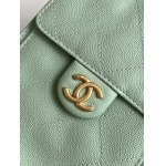 2025年7月17日入荷新作シャネル バッグ最高級品25c  chanel hobo  AS5293  Size30-26-14cm恋人プレゼント/誕生日/母の日/母のひプレゼント/お祝い女性結婚祝い/KK工場