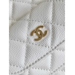 2025年7月17日入荷新作シャネル バッグ最高級品24c   AP3753 Size18-13-9cm恋人プレゼント/誕生日/母の日/母のひプレゼント/お祝い女性結婚祝い/KK工場