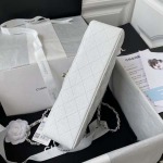 2025年7月17日入荷新作シャネル バッグ最高級品Chanel  Classic Flap Bag  A01112   Medium   Size: 15.5x25.5x6.5cm恋人プレゼント/誕生日/母の日/母のひプレゼント/お祝い女