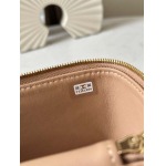 2025年7月17日入荷新作シャネル バッグ最高級品Chanel24B 66025  Size:17*9.5*8恋人プレゼント/誕生日/母の日/母のひプレゼント/お祝い女性結婚祝い/KK工場