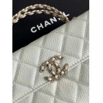 2025年7月17日入荷新作シャネル バッグ最高級品25A  AP3238  Size10-18-4.5恋人プレゼント/誕生日/母の日/母のひプレゼント/お祝い女性結婚祝い/KK工場