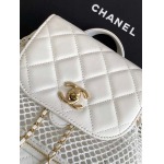 2025年7月17日入荷新作シャネル バッグ最高級品25s AS5484  Size25-23-13恋人プレゼント/誕生日/母の日/母のひプレゼント/お祝い女性結婚祝い/KK工場