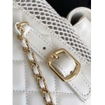 2025年7月17日入荷新作シャネル バッグ最高級品25s AS5484  Size25-23-13恋人プレゼント/誕生日/母の日/母のひプレゼント/お祝い女性結婚祝い/KK工場