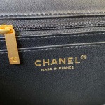 2025年7月17日入荷新作シャネル バッグ最高級品Chanel  2021 AS2431 Size:20x12x6cm恋人プレゼント/誕生日/母の日/母のひプレゼント/お祝い女性結婚祝い/KK工場