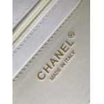 2025年7月17日入荷新作シャネル バッグ最高級品5509 CHANEL25ss 20x31x8.5cm恋人プレゼント/誕生日/母の日/母のひプレゼント/お祝い女性結婚祝い/KK工場