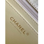 2025年7月17日入荷新作シャネル バッグ最高級品25C  AS4797  Size13-19-5.5恋人プレゼント/誕生日/母の日/母のひプレゼント/お祝い女性結婚祝い/KK工場
