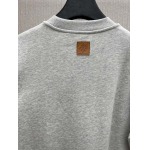 2025年7月21日入荷新作Louis Vuittonパーカー高品質/人気商品/DW工場S-L