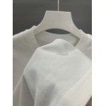 2025年7月23日入荷新作LOEWE半袖 tシャツ人気商品/DW工場