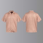 2025年7月27日入荷新作FENDIシャツ高品質人気商品/DW工場