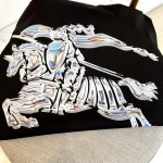 2025年7月28日入荷新作burberry半袖 tシャツ高品質人気商品/DW工場