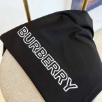 2025年7月28日入荷新作burberry半袖 tシャツ高品質人気商品/DW工場