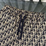 2025年7月28日入荷新作Dior半袖 tシャツ高品質人気商品/DW工場