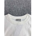 2025年7月30日入荷新作Dior半袖 tシャツ高品質人気商品/DW工場S-XL