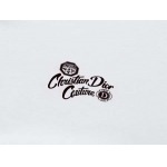2025年7月31日入荷新作DIOR半袖 tシャツ高品質人気商品/DW工場