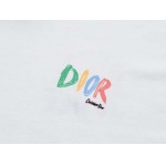 2025年7月31日入荷新作DIOR半袖 tシャツ高品質人気商品/DW工場