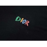 2025年7月31日入荷新作DIOR半袖 tシャツ高品質人気商品/DW工場
