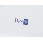 2025年7月31日入荷新作DIOR半袖 tシャツ高品質人気商品/DW工場