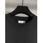 2025年7月31日入荷新作DIOR半袖 tシャツ高品質人気商品/DW工場