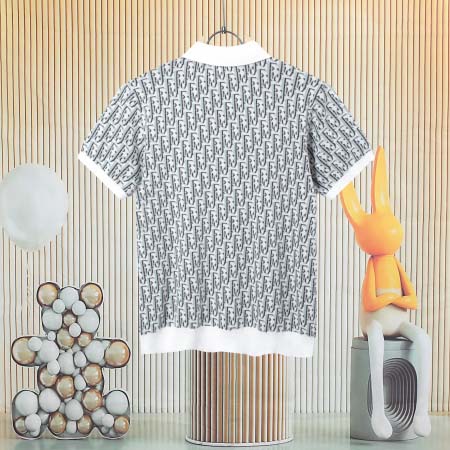 2025年8月13日入荷新作DIOR半袖 tシャツ人気商品/DW工場