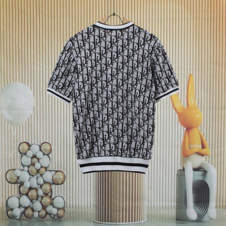 2025年8月13日入荷新作DIOR半袖 tシャツ人気商品/DW工場