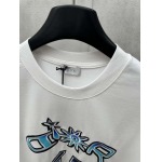 2025年8月6日入荷新作DIORtシャツ原版復刻人気で【极品】/正規品と同じサイズ/DW工場S-XL