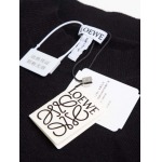 2025年8月6日入荷新作Loeweニットのセーター原版復刻人気で【极品】/正規品と同じサイズ/DW工場S-XL