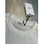 2025年8月6日入荷新作Celine半袖 tシャツ原版復刻人気で【极品】/正規品と同じサイズ/DW工場XS-L