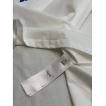 2025年8月6日入荷新作Celine半袖 tシャツ原版復刻人気で【极品】/正規品と同じサイズ/DW工場XS-L