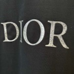 2025年8月8日入荷新作DIOR半袖 tシャツ高品質人気商品/DW工場S-XXL