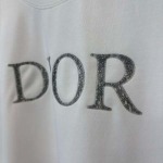 2025年8月8日入荷新作DIOR半袖 tシャツ高品質人気商品/DW工場S-XXL