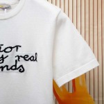 2025年8月13日入荷新作DIOR半袖 tシャツ人気商品/DW工場