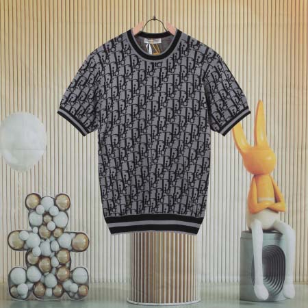 2025年8月13日入荷新作DIOR半袖 tシャツ人気商品/...