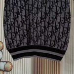 2025年8月13日入荷新作DIOR半袖 tシャツ人気商品/DW工場