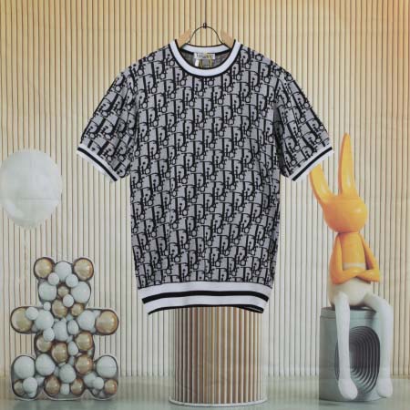 2025年8月13日入荷新作DIOR半袖 tシャツ人気商品/...