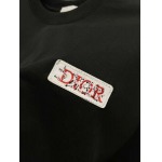 2025年8月13日入荷新作dior半袖 tシャツ人気商品/DW工場