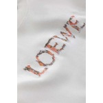 2025年8月14日入荷新作LOEWEtシャツ人気商品/DW工場