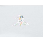 2025年8月14日入荷新作DIORtシャツ人気商品/DW工場