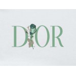 2025年8月14日入荷新作DIORtシャツ人気商品/DW工場