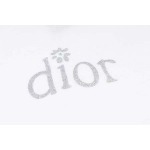 2025年8月21日入荷新作Dior半袖 tシャツ高品質人気商品/HC工場