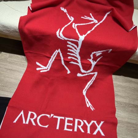 2025年8月23日秋冬入荷新作ARCTERYXセーター人気...