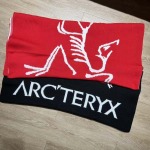 2025年8月23日秋冬入荷新作ARCTERYXセーター人気商品/B6工場