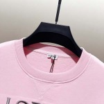 2025年8月23日秋冬入荷新作LOEWEスウェットシャツ高品質人気商品/HL工場