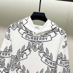2025年8月23日秋冬入荷新作BURBERRYパーカー高品質人気商品/HL工場